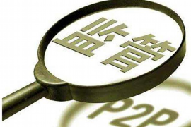 阿拉善阿拉善的要账公司在催收过程中的策略和技巧有哪些？