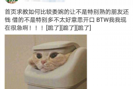 阿拉善阿拉善专业催债公司，专业催收